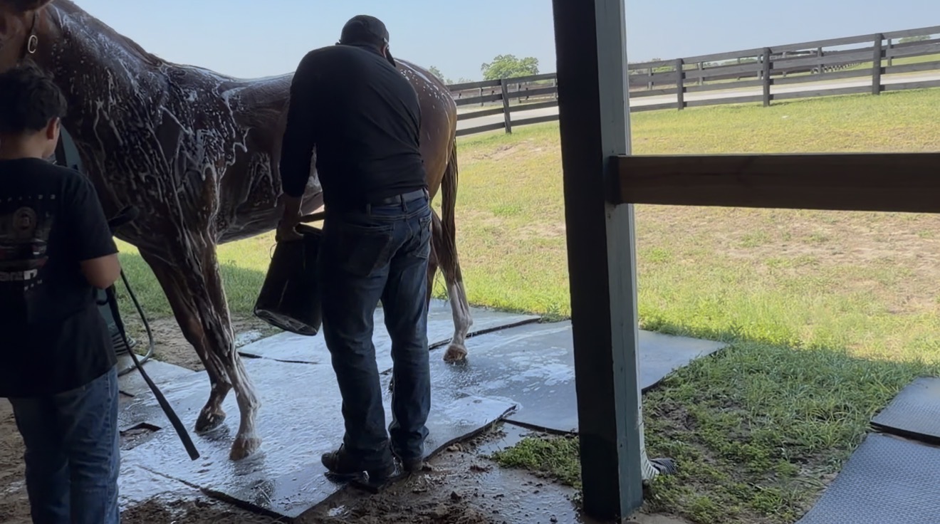 Daily Care & Handling