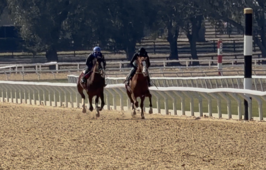 Two-Year-Old Preparation