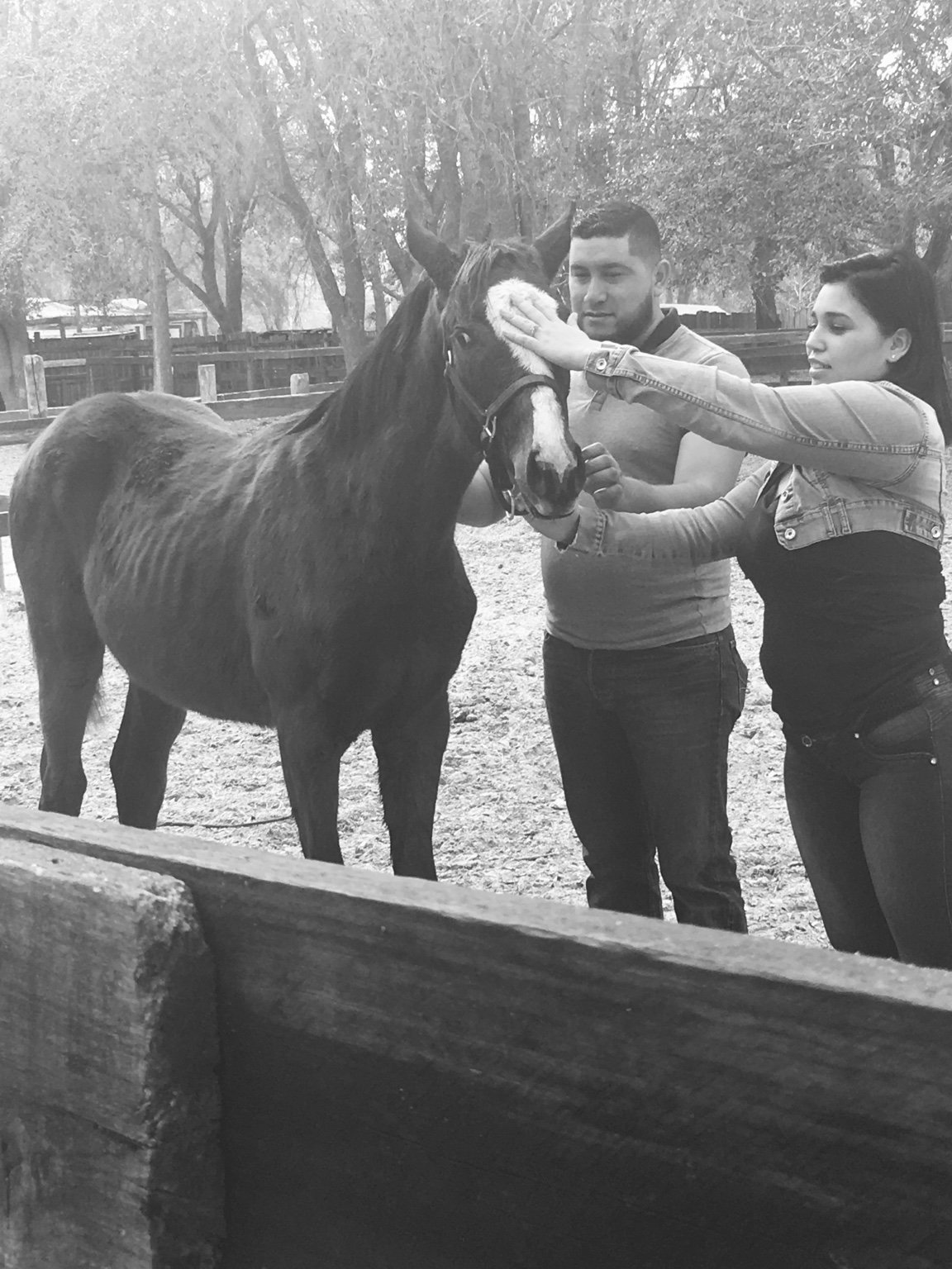 Weanling Handling & Care